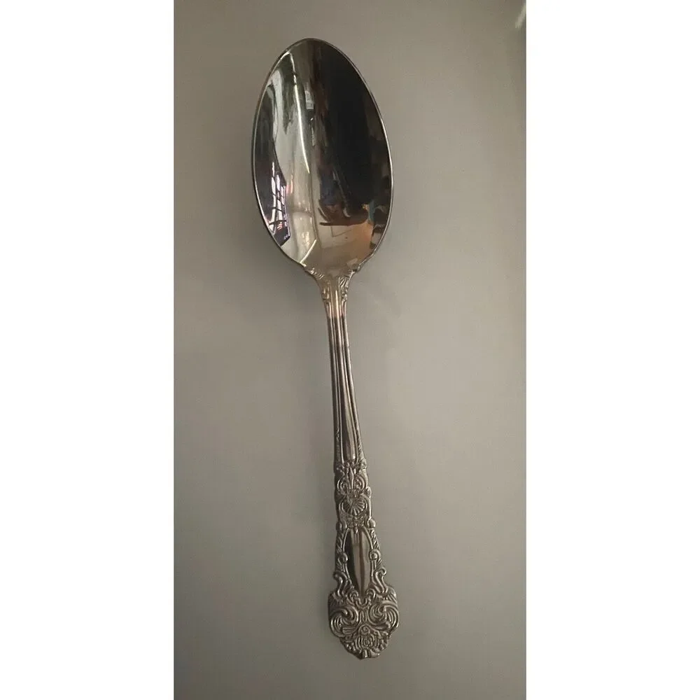 Reed & Barton RENAISSANCE Stainless Flatware 18/10 Silverware SERVING SPOON